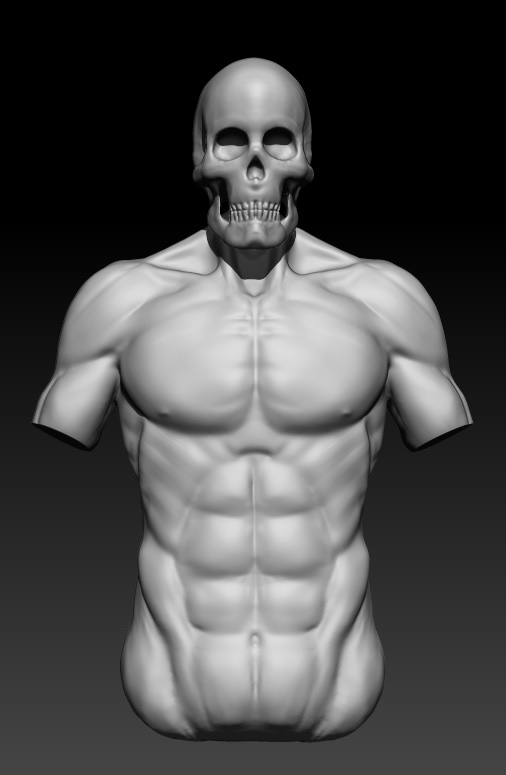 Organic-modeling-I-2021-Aleksandar-Bogetic-skelet